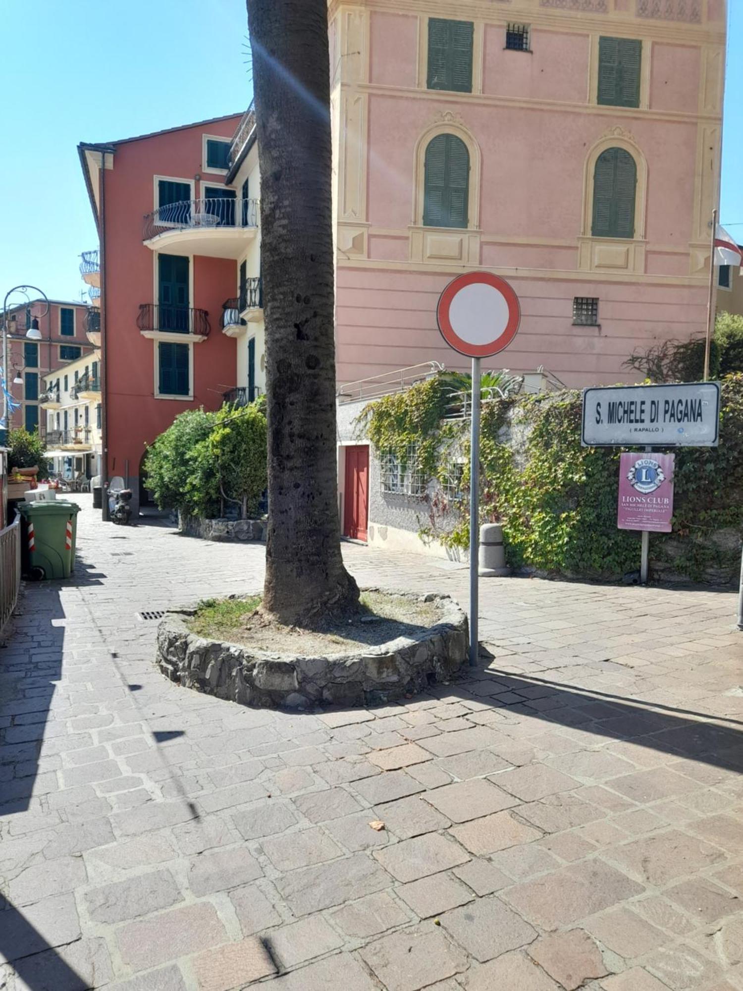 Sweet Lucy Lejlighed Rapallo Eksteriør billede